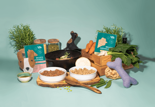 Hundefutter Rezepte