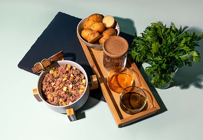Hundefutter Rezept mit Schwein